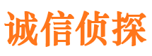 东城市调查公司